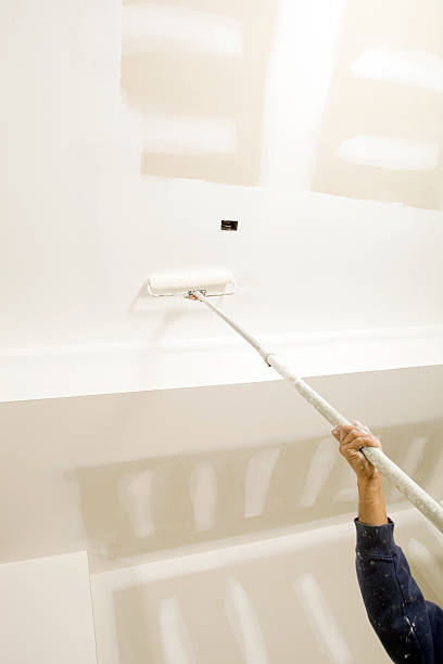 Reliable Marana, AZ Mold Removal Solutions