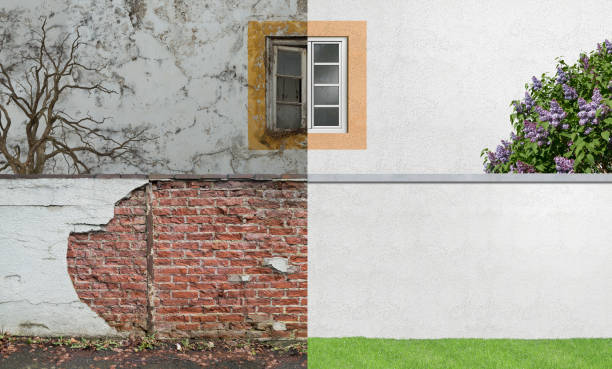 Best Real Estate Mold Inspection  in Marana, AZ
